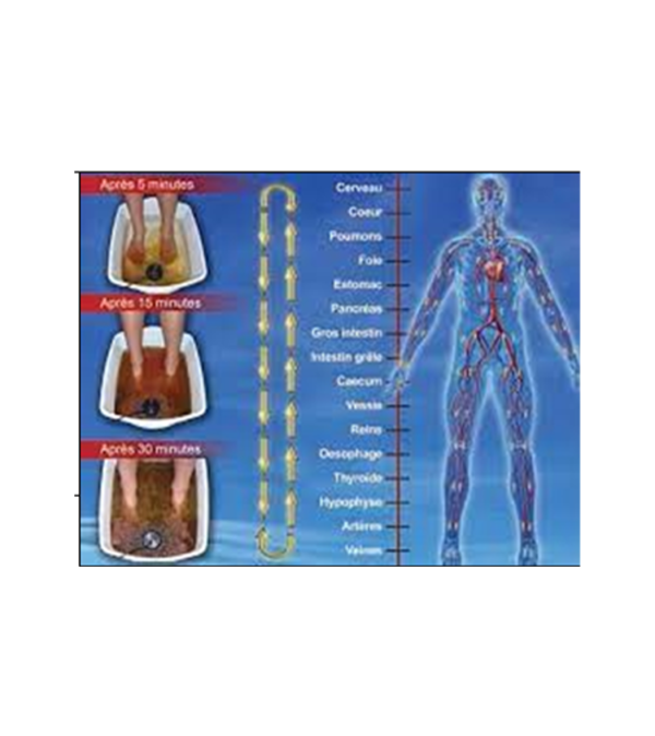 Détox Foot Spa – Image 2
